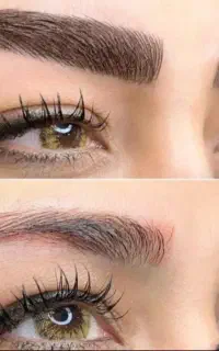 فیبروز ،میکرو سبکهای کرکی و مویی  ،بولد بروز