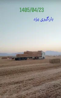 بلغور حیوانات