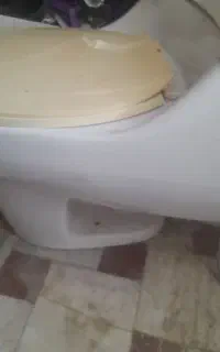 توالت فرنگی