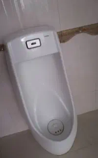 فرنگی ایستاده