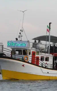 کشتی تفریحی موزیک زنده SeaBoy