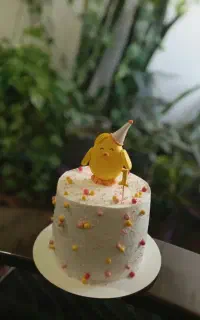 کیک خانگی عسل بانو