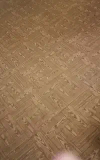 موکت درحدنو