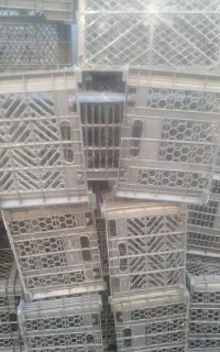سبد