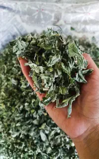 یارپوز یا همان پونه کوهی (میزاب)