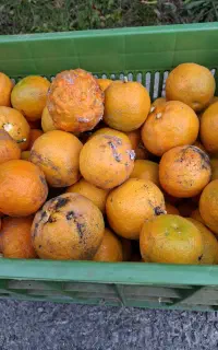 استخدام سرایدار خانم