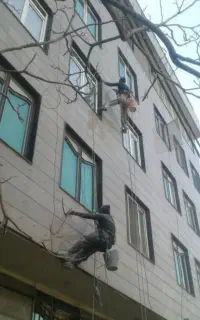 شرکت کار در ارتفاع کاردرارتفاع شستشو پیچرولپلاک و