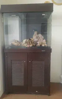 آکواریوم شیشه خم