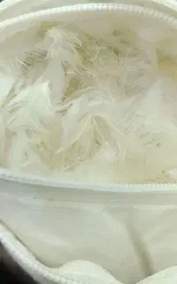 بالشت پر