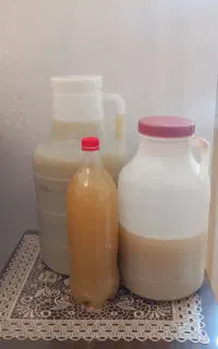 اب غوره