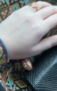 فرمول کرم