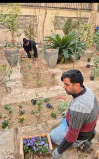 کلیه کار باغبانی هرس کاری تعویض خاک گلدان