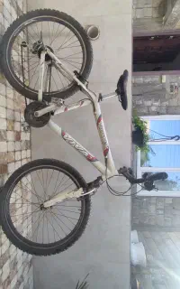 دوچرخه ویوا اصل تایوان