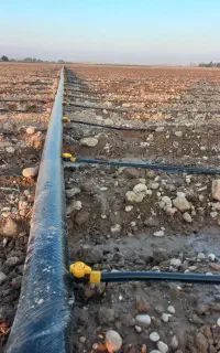نصب و لوله کشی قطره ای