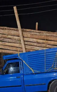 خریدار انواع چوب تر وخشک