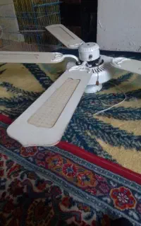 یک عدد پنکه سقفی پنج پره فانتزی