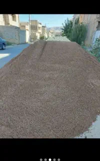 ماسه