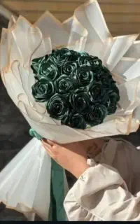 رز ساتنی