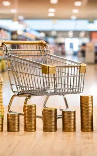 نیازمند سرمایه درگردش