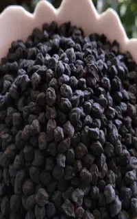 نخودسیاه و جو خریدارم