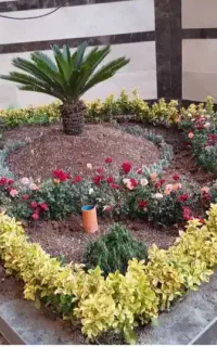 خدمات باغبانی باغچه کاری کاشت گل و گیاه خاک گلدون