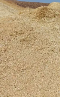 خریدار کاه به صورت نقدی