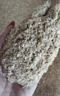سبوس گندم درجه یک