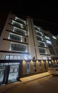 استخدام نیروی برق کاری