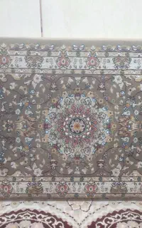 دو جفت پشتی