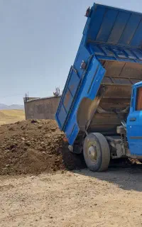 کودحیوانی