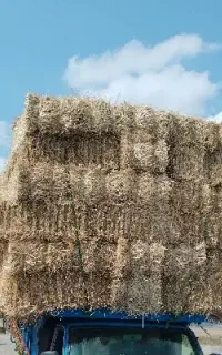 کاه گندم و جو پرس