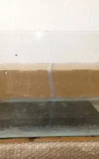 اکواریم
