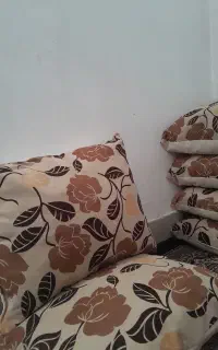 ۶ عدد کوسن دو رویه