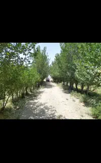 فروش زمین باغی