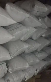 گندم ریژاو پاکوتاه