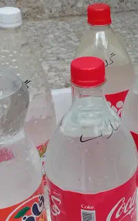 گلاب تازه