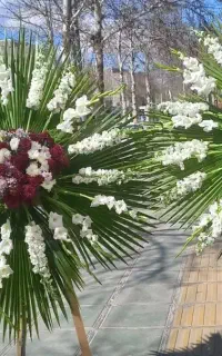 تاج گل و باکس گل ترحیم