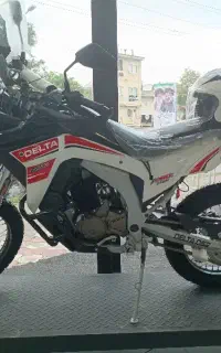 Delta DS2 Rally