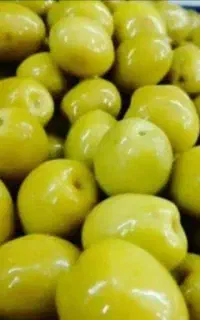 زیتون کنسروی فوق سوپر درجه اعلای طارم