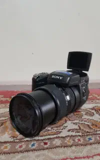 دوربین عکاسی حرفه ای سونی مدلDSC - R1