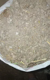 کود مرغ