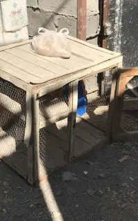 فروش قفس کبوتر