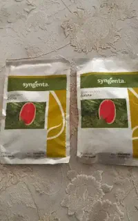 بذر اس جی گالاتا