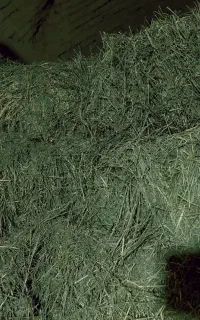 خدمات