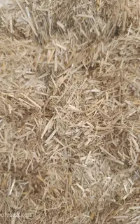 کاه کوبیده