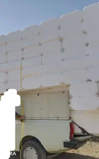 وانت کرایه