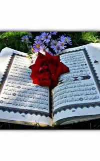 خانمی هستم ک ختم قرآن صلوات زیارت عاشورا نماز