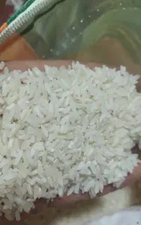 برنج راضیه