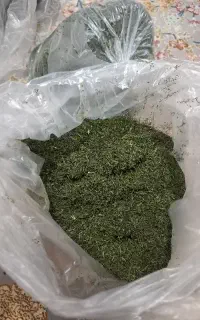 شوید