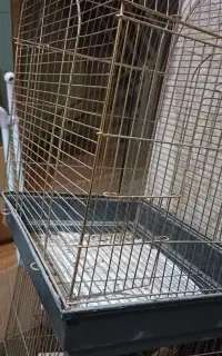 قفس پرنده